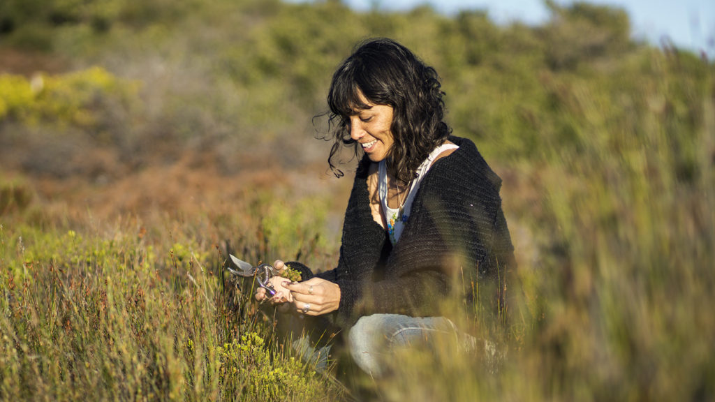 Foraging 